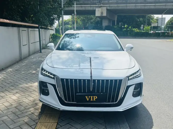 Hongqi H5 2023 Model 2.0T Automatic Flag Enjoy Edition – фото 2