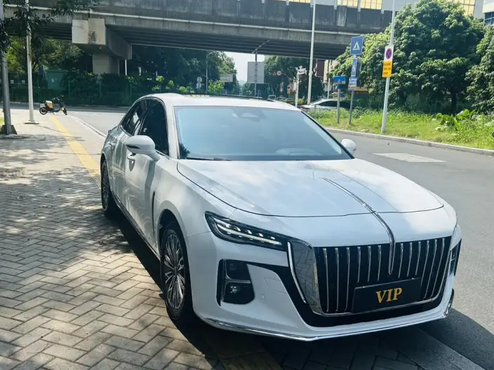 Hongqi H5 2023 Model 2.0T Automatic Flag Enjoy Edition – фото 3