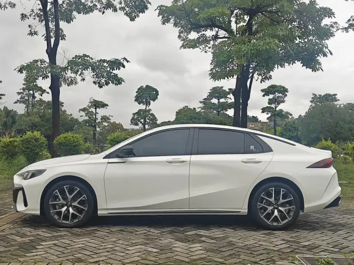 Emzoom 2023 Model 2.0L DHT Smart Hybrid version – фото 4