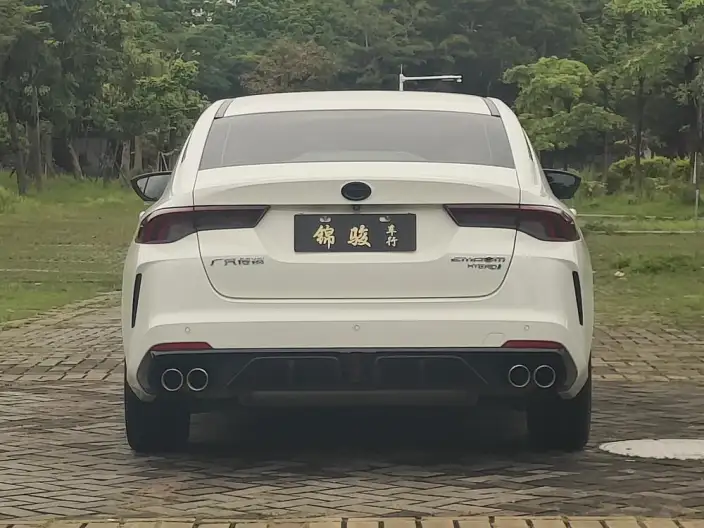 Emzoom 2023 Model 2.0L DHT Smart Hybrid version – фото 6