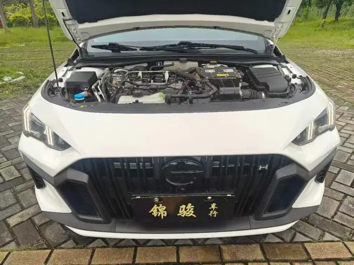 Emzoom 2023 Model 2.0L DHT Smart Hybrid version – фото 8