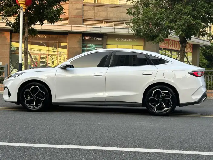 BYD Seal 06 DM 2024 Model DM-i 120KM Flagship Model – фото 4