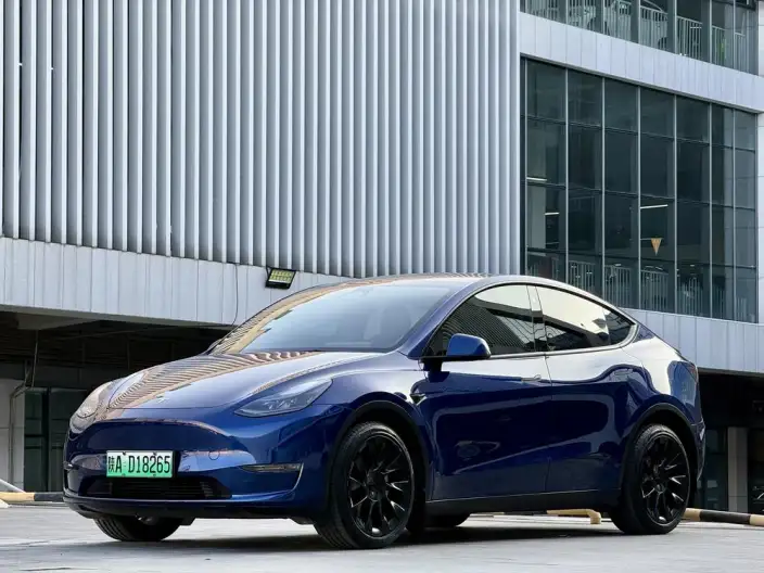 Model Y 2021 Model Facelift Long Battery Life Pro All-wheel drive version – фото 1