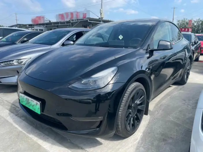 Model Y 2021 Model Facelift Long Battery Life Pro All-wheel drive version – фото 1
