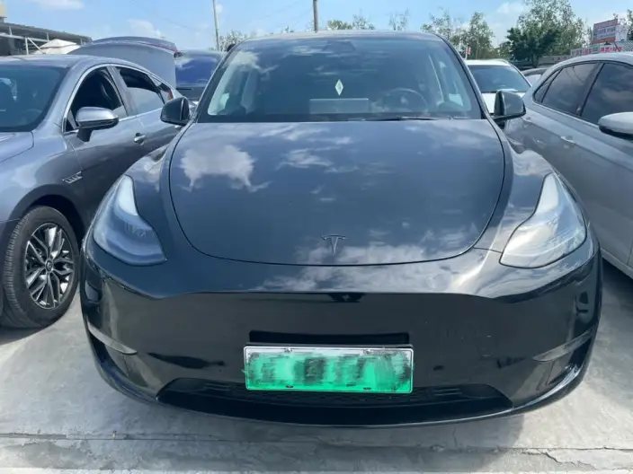 Model Y 2021 Model Facelift Long Battery Life Pro All-wheel drive version – фото 2