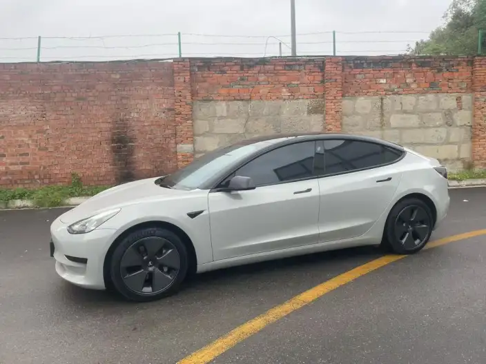 Model 3 2022 Model Rear-wheel drive version – фото 1