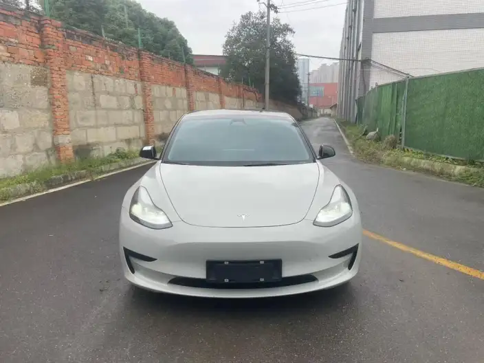 Model 3 2022 Model Rear-wheel drive version – фото 2