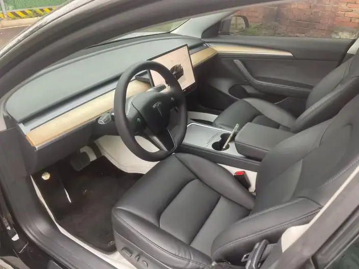 Model 3 2022 Model Rear-wheel drive version – фото 9