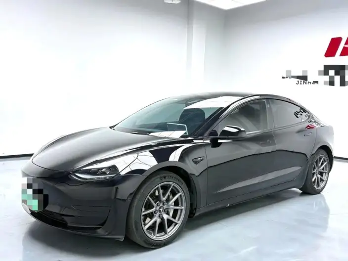Model 3 2022 Model Rear-wheel drive version – фото 1