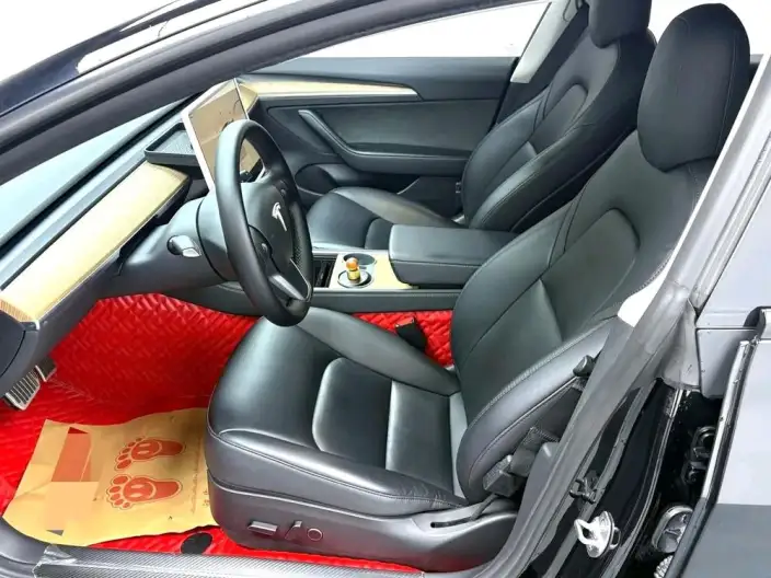 Model 3 2022 Model Rear-wheel drive version – фото 8