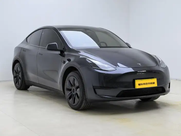 Model Y 2024 Model Rear-wheel drive version – фото 2