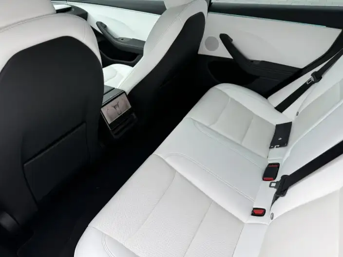 Model 3 2023 Model Long Battery Life Pro All-wheel drive version – фото 9