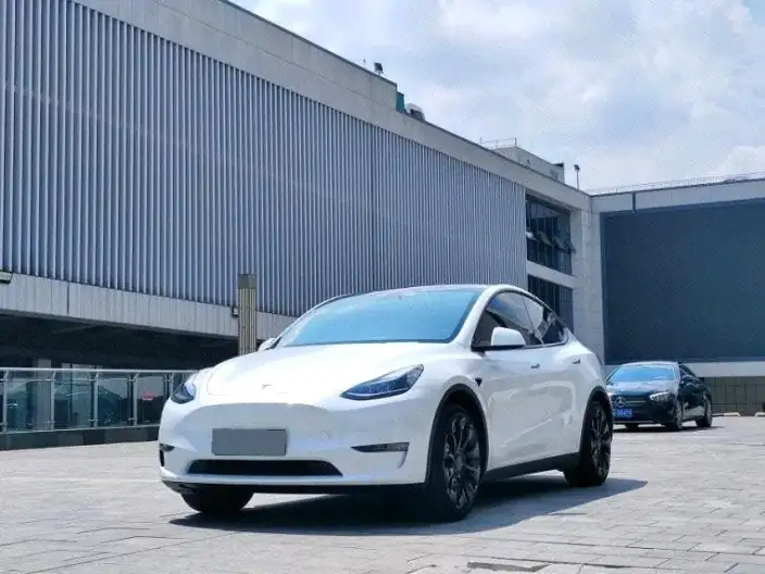 Model Y 2024 Model Rear-wheel drive version – фото 1