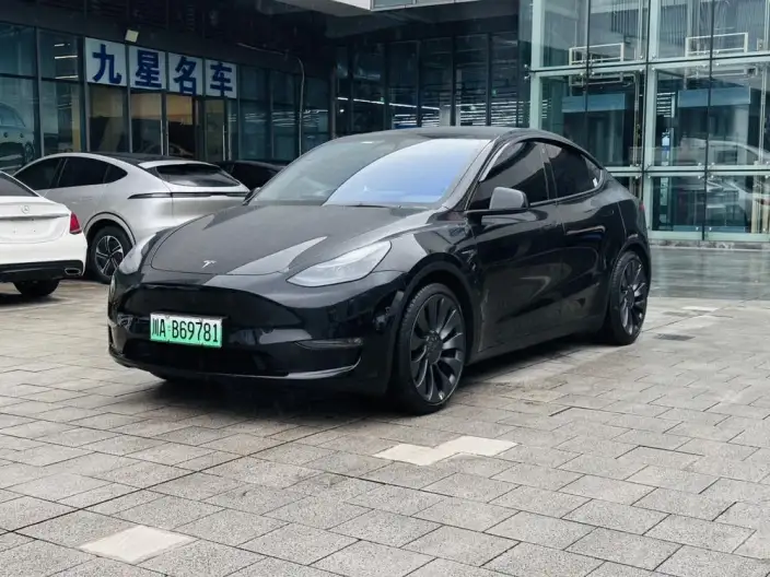 Model Y 2024 Model Performance High performance All-wheel drive version – фото 1