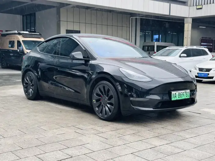 Model Y 2024 Model Performance High performance All-wheel drive version – фото 3