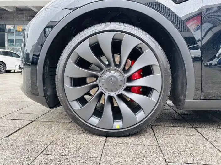 Model Y 2024 Model Performance High performance All-wheel drive version – фото 5
