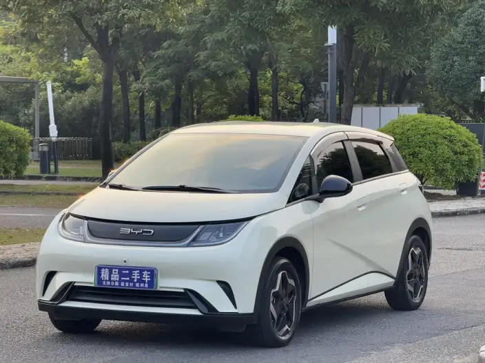 BYD Dolphin 2023 Model Free Edition – фото 1