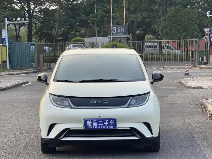 BYD Dolphin 2023 Model Free Edition – фото 2