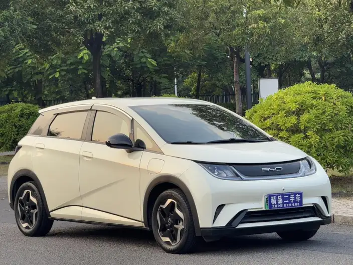 BYD Dolphin 2023 Model Free Edition – фото 3