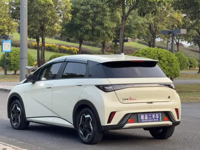 BYD Dolphin 2023 Model Free Edition – фото 4