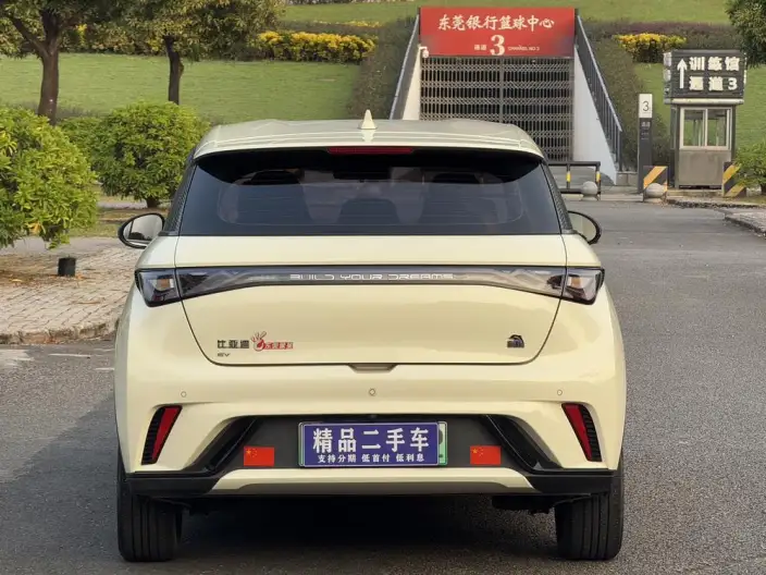 BYD Dolphin 2023 Model Free Edition – фото 5