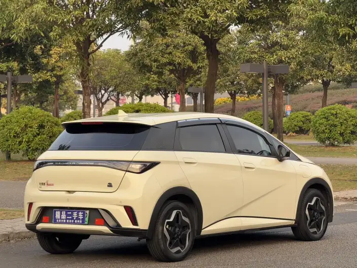 BYD Dolphin 2023 Model Free Edition – фото 6