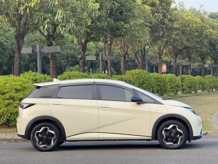 BYD Dolphin 2023 Model Free Edition – фото 7