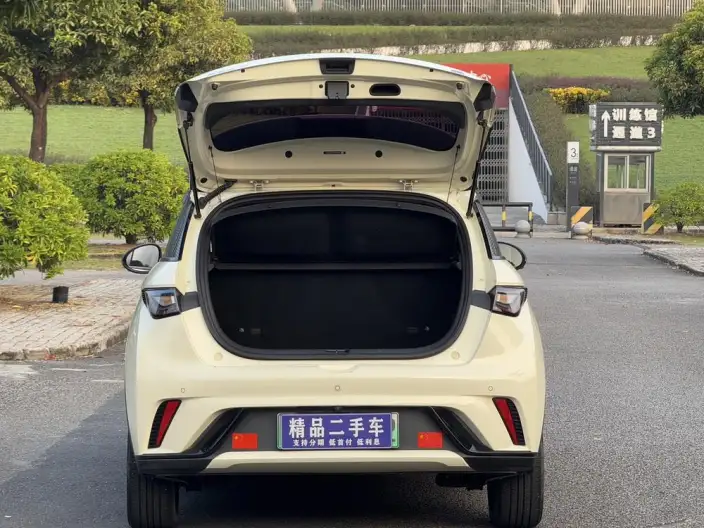 BYD Dolphin 2023 Model Free Edition – фото 8
