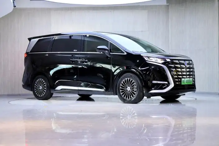 DENZA D9 DM 2024 Model 970 Luxury Model – фото 3