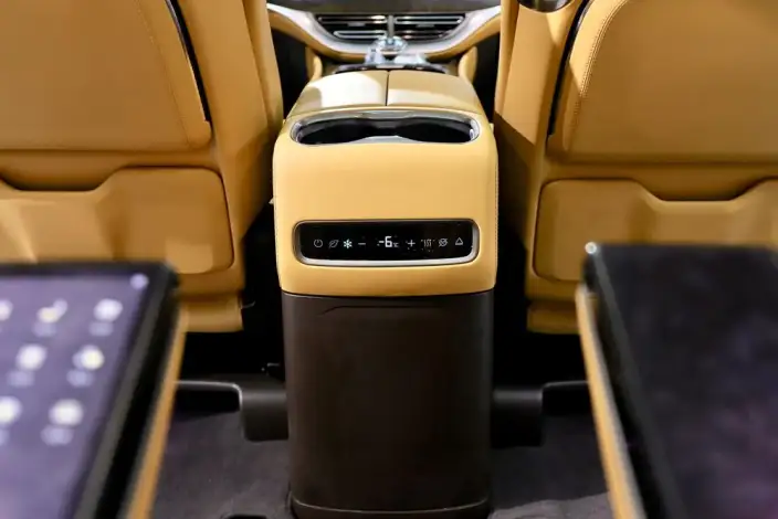 DENZA D9 DM 2024 Model 970 Luxury Model – фото 7