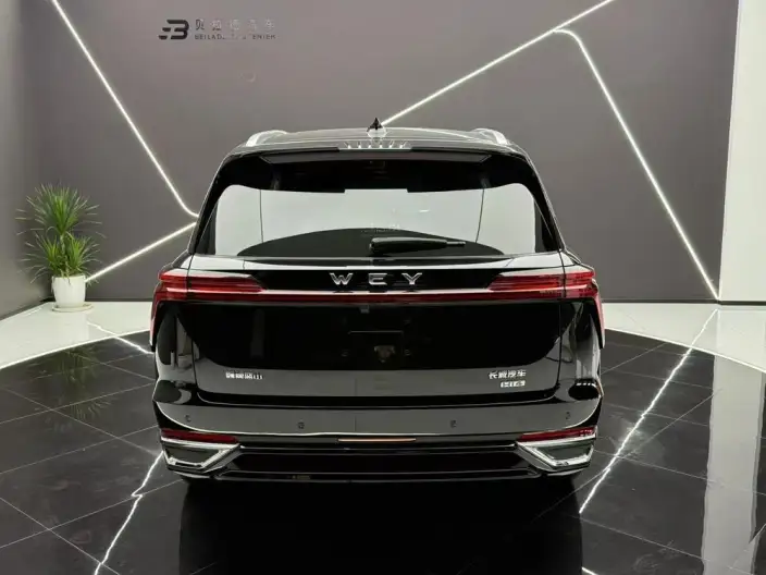 Wey Blue Mountain 2025 Model 4WD Max – фото 5