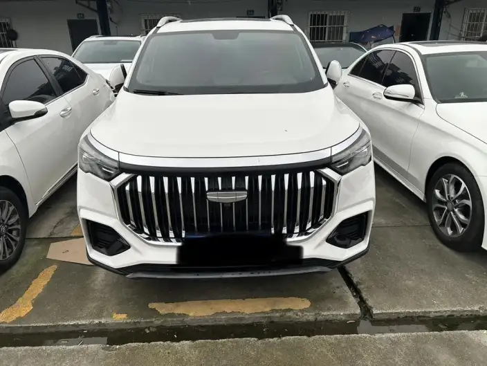 Haoyue L 2023 Model 2.0TD DCT Noble Model – фото 2
