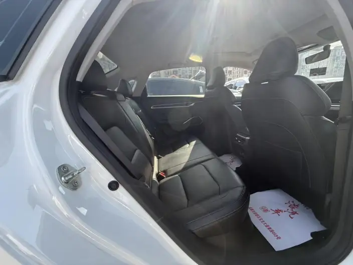 Geely Emgrand 2023 Model No. 4 Gen Champion Edition 1.5L CVT Noble Model – фото 10