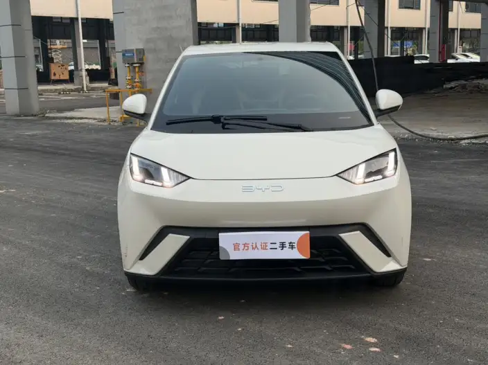 BYD Seagull 2024 Model Honor Edition 405KM Feixiang Edition – фото 2