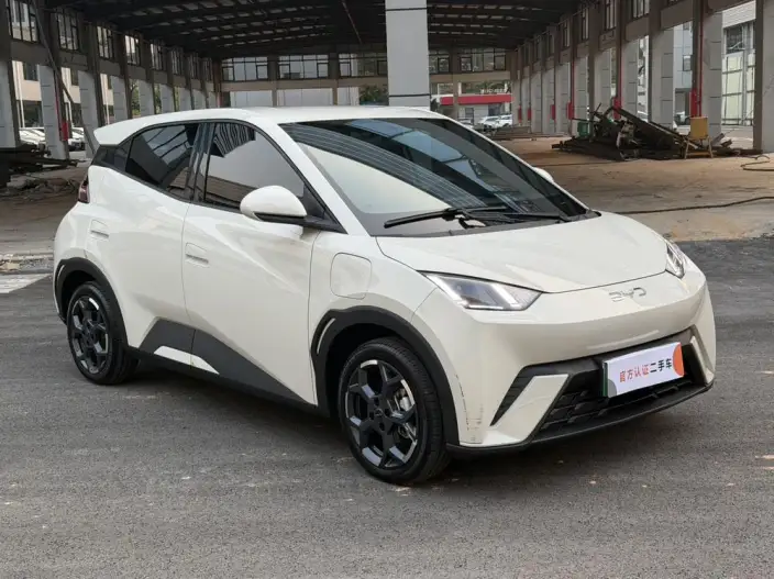 BYD Seagull 2024 Model Honor Edition 405KM Feixiang Edition – фото 3
