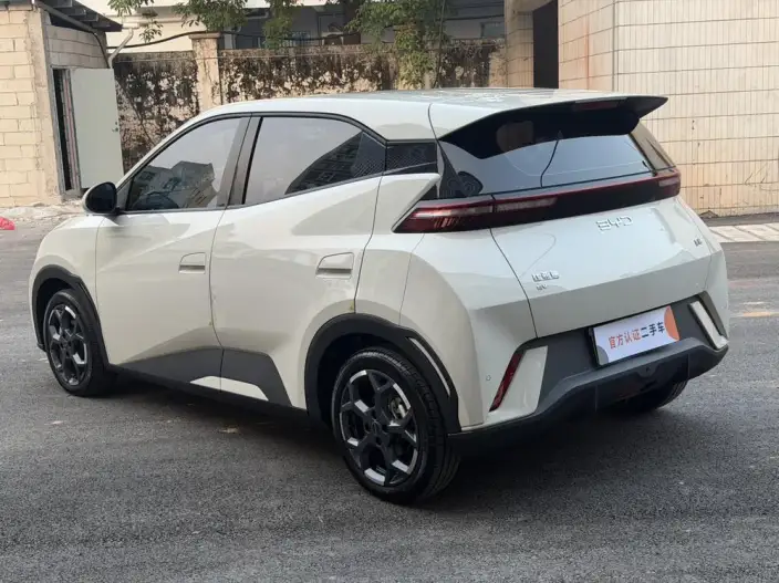 BYD Seagull 2024 Model Honor Edition 405KM Feixiang Edition – фото 4