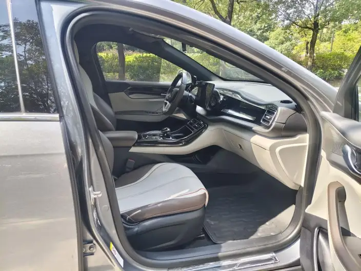 Qin Plus EV 2023 Model Champion Edition 420KM Leading Model – фото 7