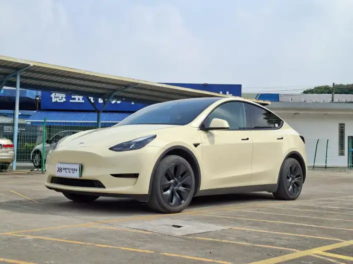 Model Y 2023 Model Rear-wheel drive version – фото 1