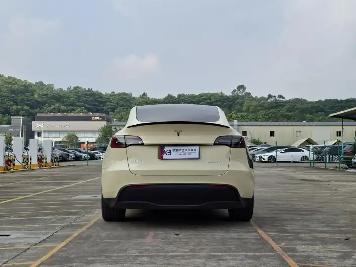 Model Y 2023 Model Rear-wheel drive version – фото 5
