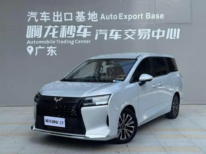 Xingguang 730 2025 Model 1.5T CVT Elite Model – фото 1