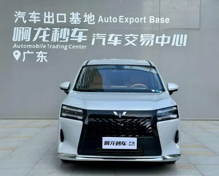 Xingguang 730 2025 Model 1.5T CVT Elite Model – фото 2