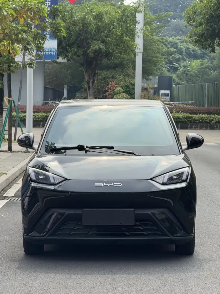 BYD Seagull 2023 Model Free Edition – фото 2
