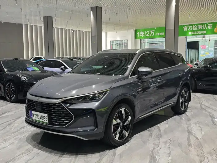 BYD Tang DM 2024 Model Honor Edition DM-i 112KM Noble Model – фото 1