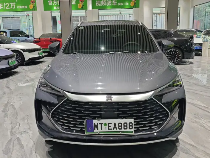 BYD Tang DM 2024 Model Honor Edition DM-i 112KM Noble Model – фото 2