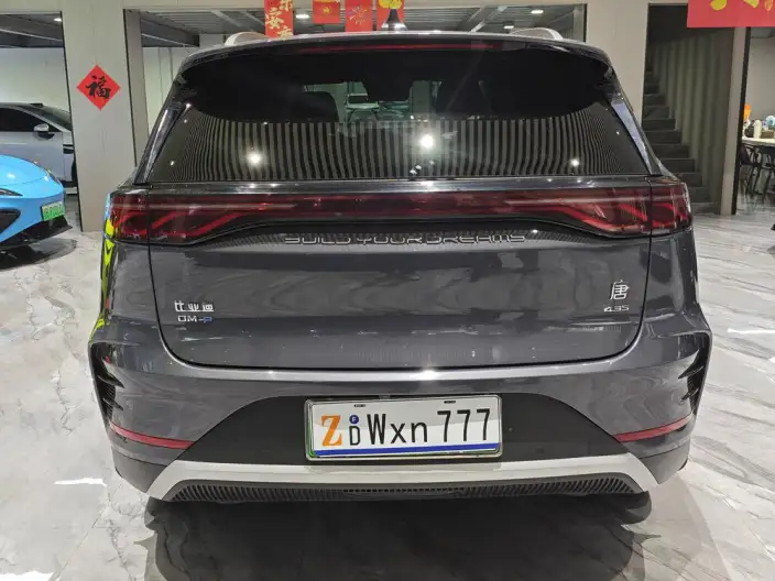 BYD Tang DM 2024 Model Honor Edition DM-i 112KM Noble Model – фото 5