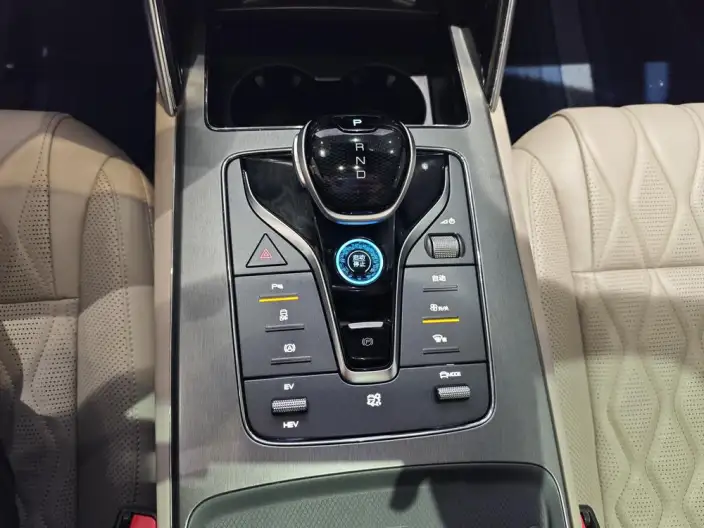 BYD Tang DM 2024 Model Honor Edition DM-i 112KM Noble Model – фото 9