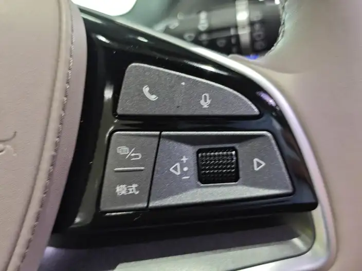 BYD Tang DM 2024 Model Honor Edition DM-i 112KM Noble Model – фото 10