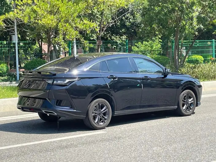 Yixuan 2024 Model 1.5L Automatic Speed Edition – фото 6