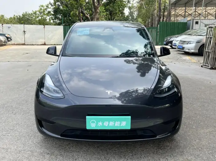 Model Y 2024 Model Rear-wheel drive version – фото 2