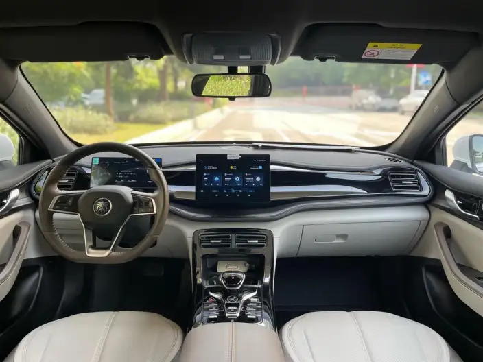 BYD Qin PLUS DM 2024 Model Honor Edition DM-i 55KM Leading Model – фото 8